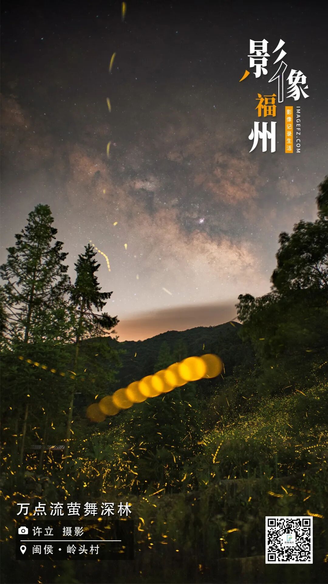 影像福州丨万点流萤舞深林