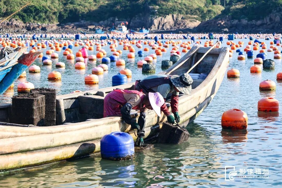 一口入夏！福州夏日时令美味已上线