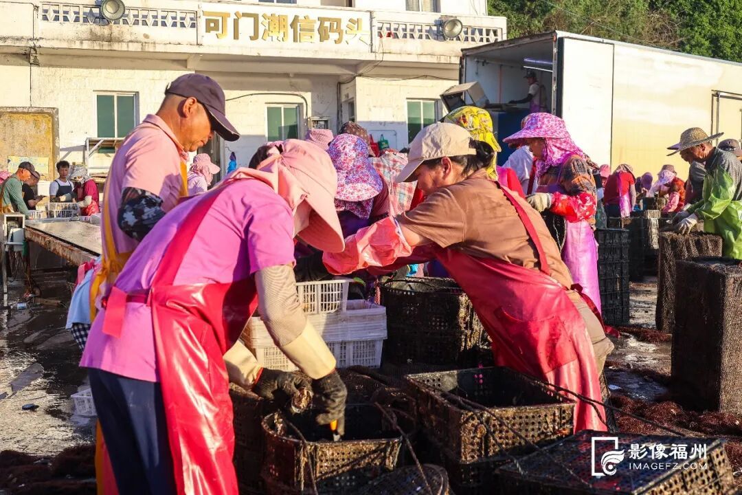 一口入夏！福州夏日时令美味已上线