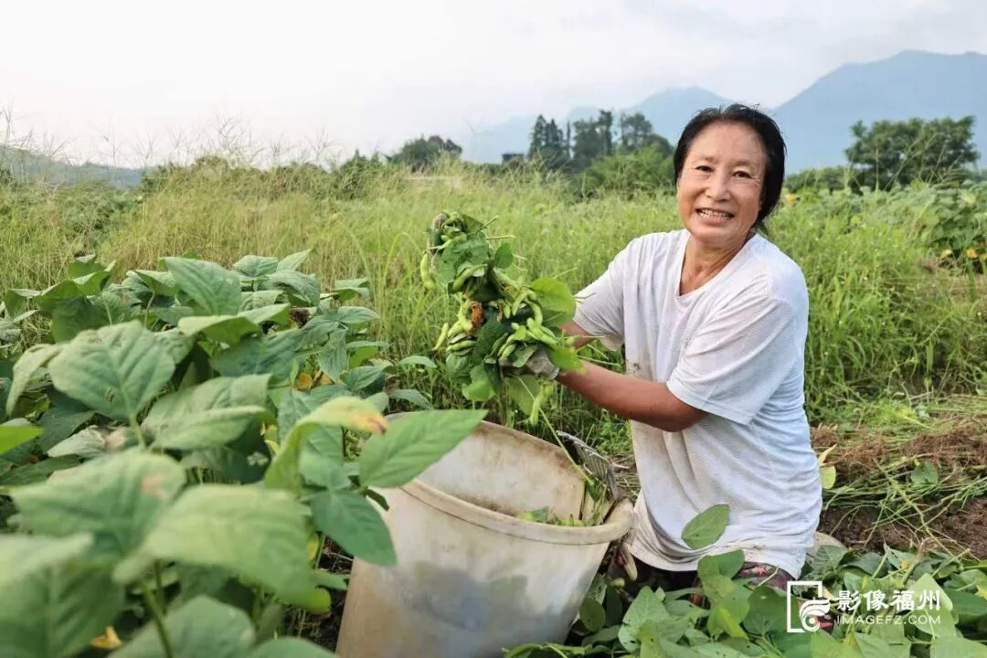 一口入夏！福州夏日时令美味已上线