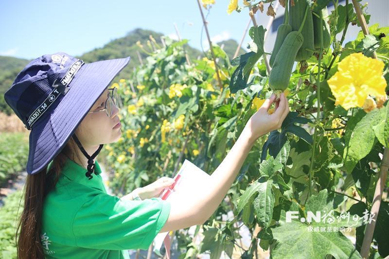 福建农林大学实践队在琅岐开展农技帮扶