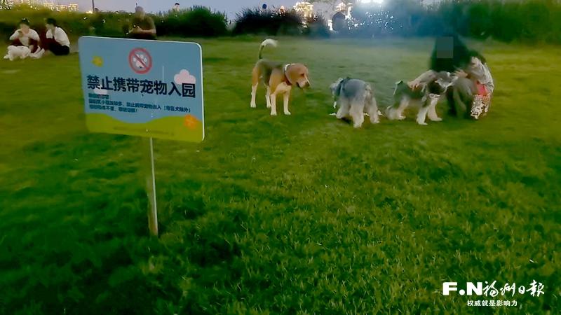 福州城市养犬管理条例迎来首次执法检查