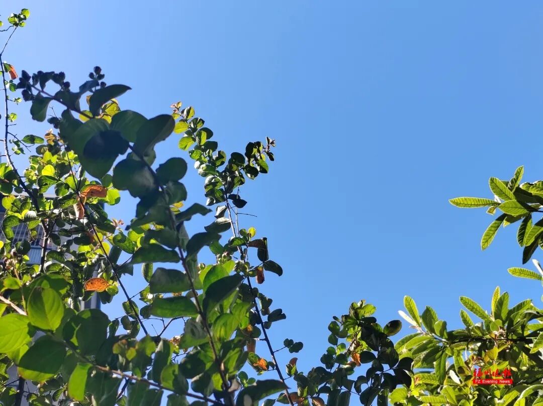 最新预测!厄尔尼诺或影响福建! 最新预测!厄尔尼诺或影响福建!
