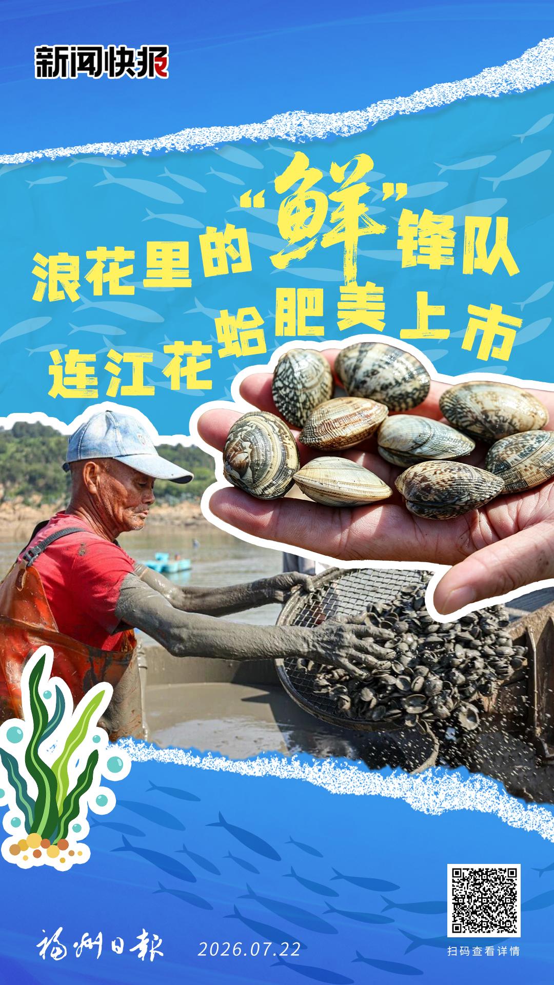 浪花里的“鲜”锋队！连江花蛤肥美上市