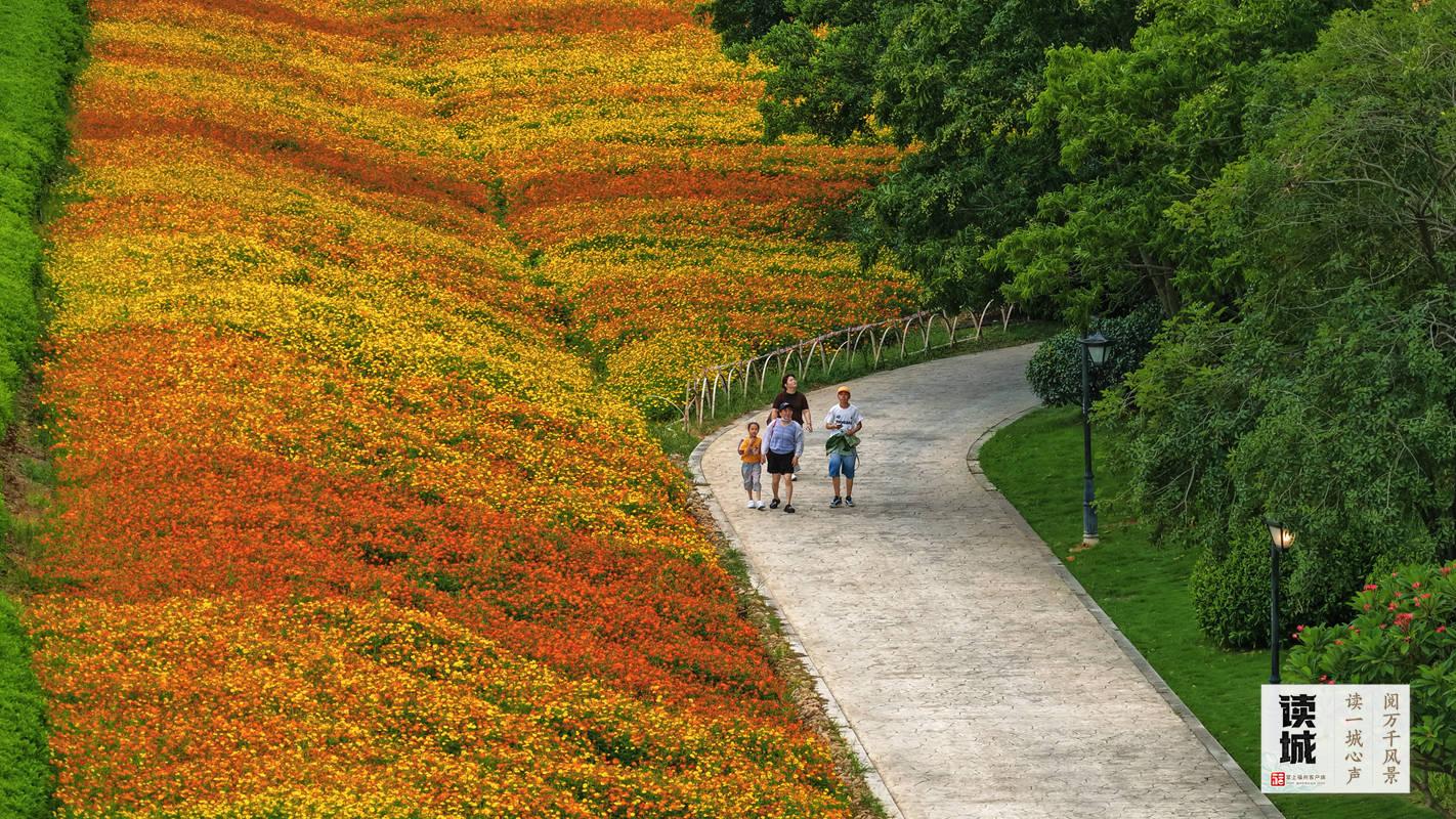 读城｜搭地铁“遛娃” 沿着轨道解锁榕城夏日好去处