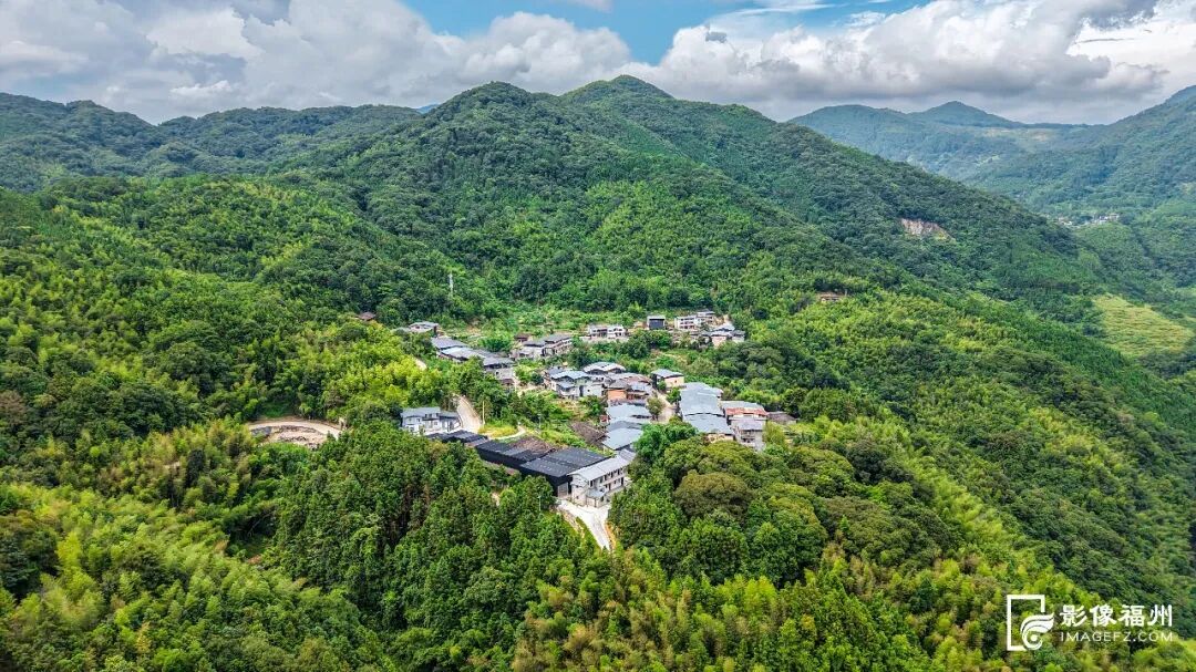 林下生“金”，水产清莲！福州夏日风物上新