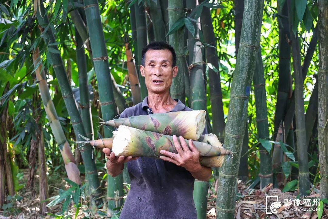 甜蜜美味！福州正大量上市