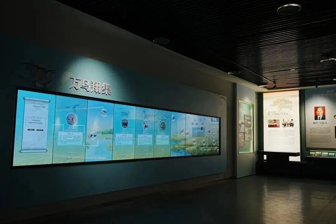 周末遛娃走起！福州这座湿地博物馆8月15日焕新开放