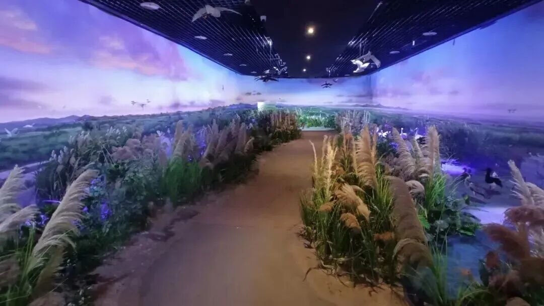 周末遛娃走起！福州这座湿地博物馆8月15日焕新开放