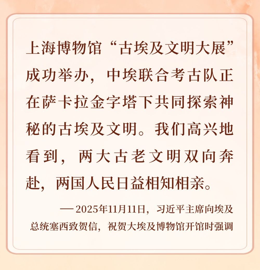 镜观·回响｜元首引领 中埃合作结硕果