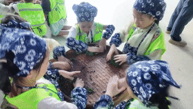 海外青少年打卡福州:寻香茉莉花 躬行品读茶韵芳华 海外青少年打卡福州:寻香茉莉花 躬行品读茶韵芳华