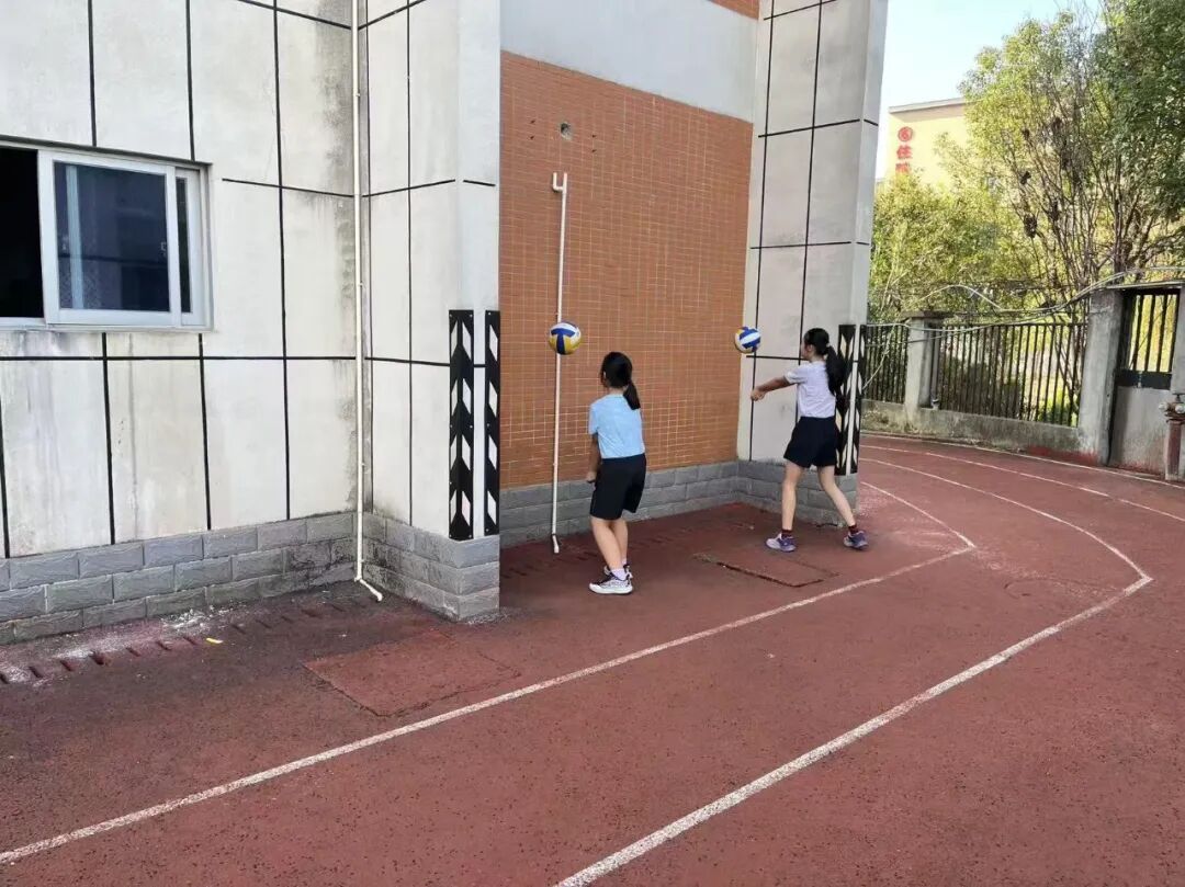 夏训有期，精进不止——晋安区少体校2026年暑期集训总结暨新学期工作部署会