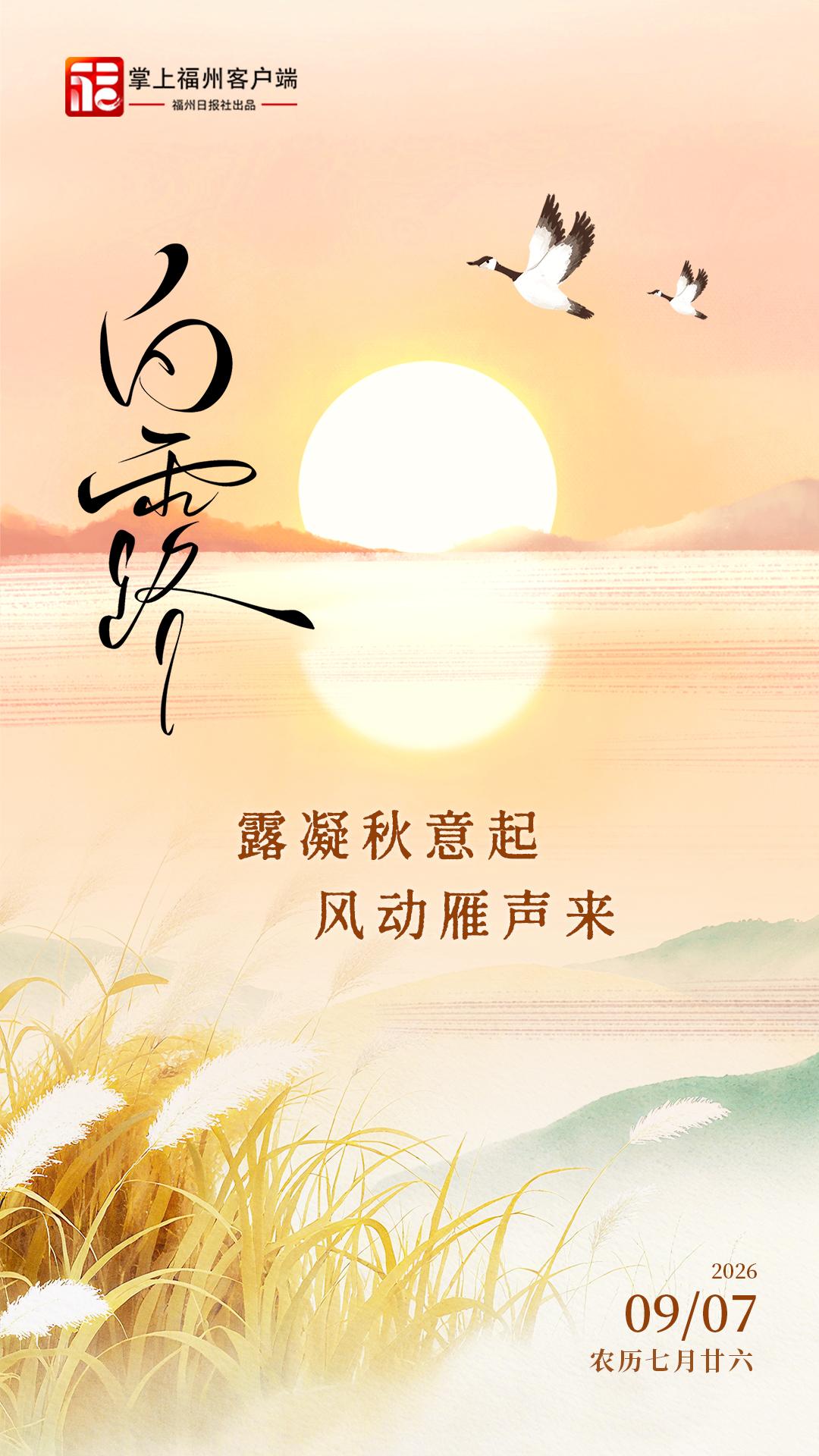 白露：露凝秋意起 风动雁声来