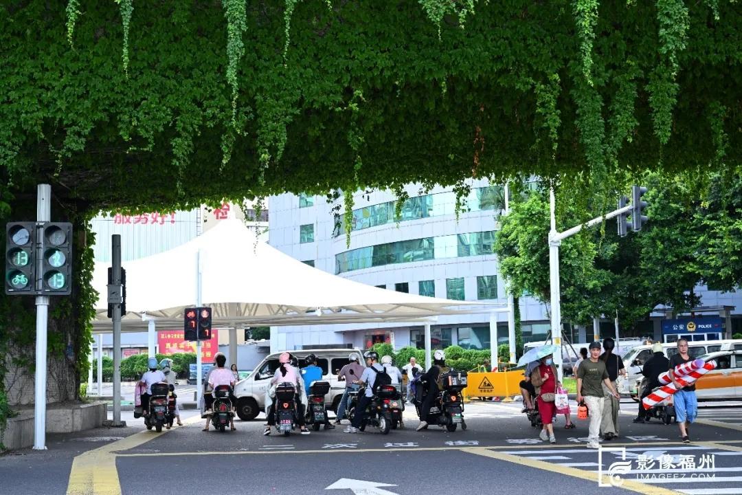 福州新添“白色巨伞”！遮阳又挡雨