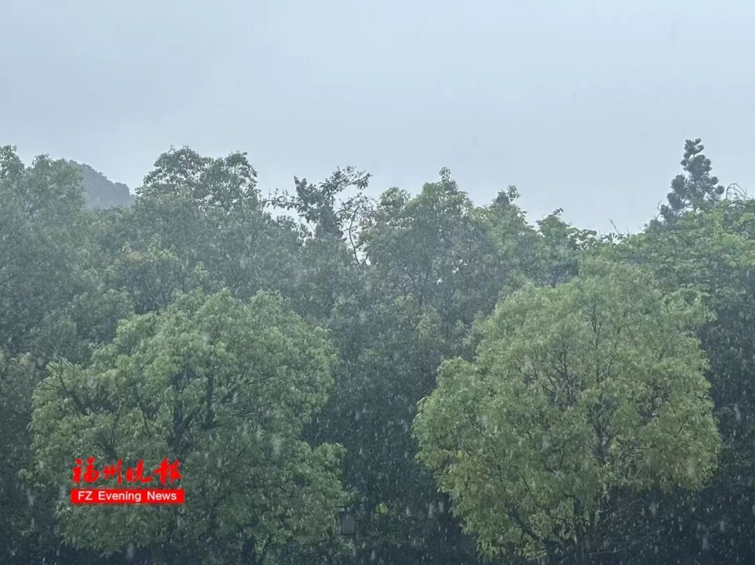 台风“杜鹃”或将生成！福建局部大雨暴雨！福州天气将大反转！