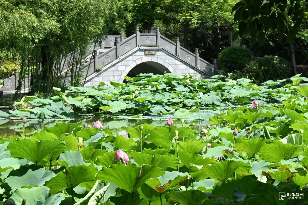 跟着电视剧《交锋》逛福州！解锁同款取景地