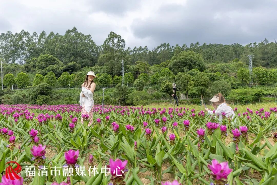 要火！福州花海又上新了！不少游客赶去打卡……