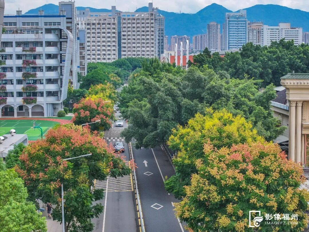 要火！福州花海又上新了！不少游客赶去打卡……