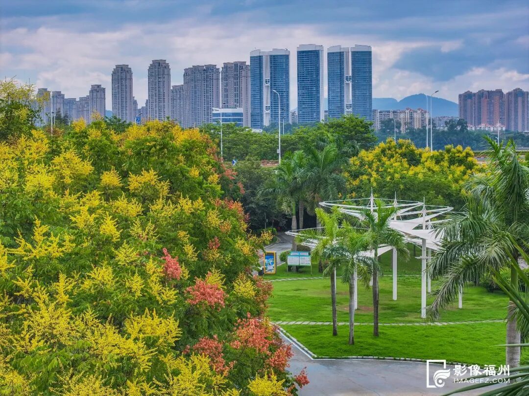要火！福州花海又上新了！不少游客赶去打卡……