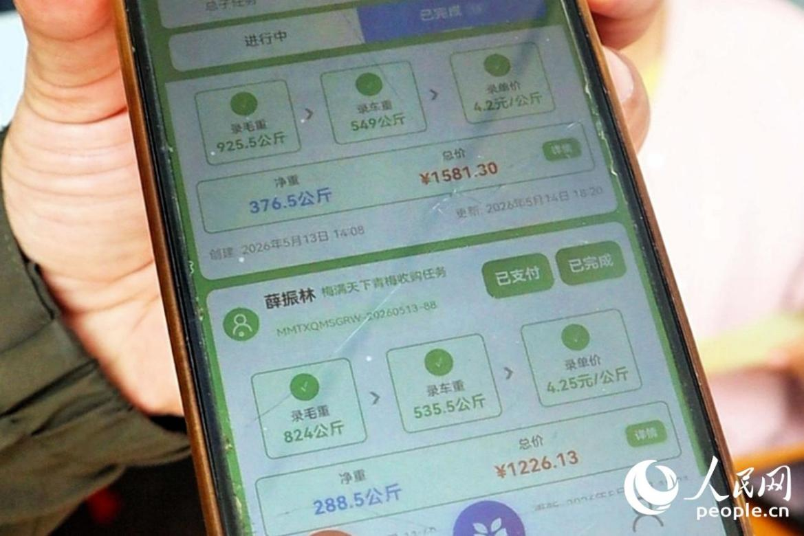 人民网关注福州：循着梅香触摸数字乡村建设