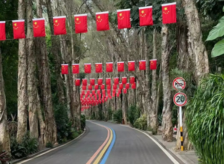 氛围感拉满！晋安，红了！