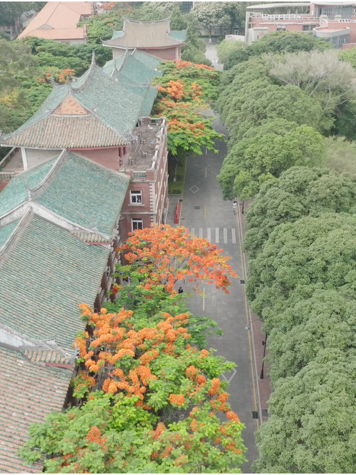 微视频|月满中秋 情润山河 微视频|月满中秋 情润山河