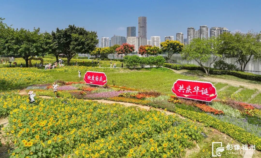 5万平方米！快到花海公园邂逅“梵高油画”美景