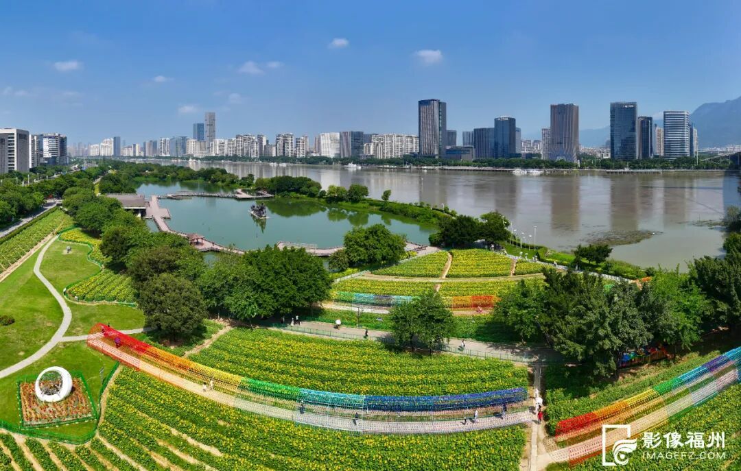 5万平方米！快到花海公园邂逅“梵高油画”美景