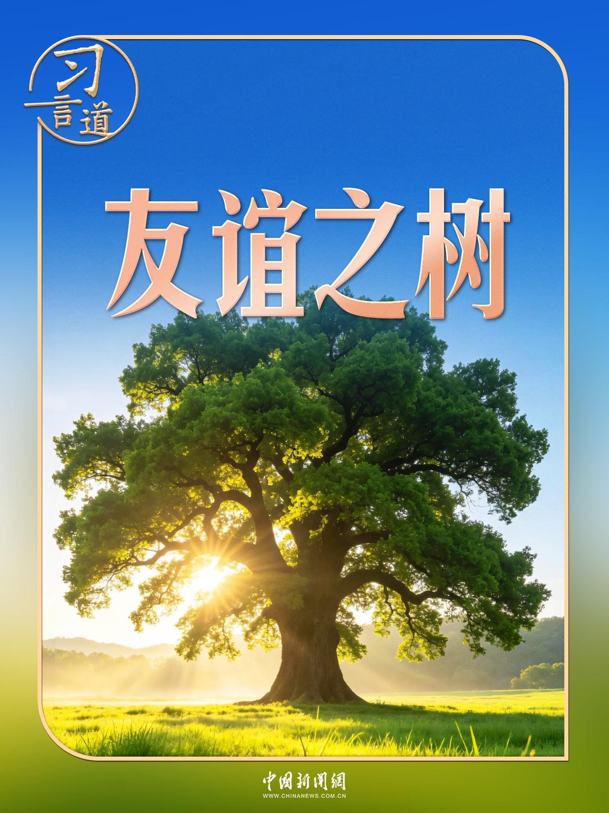 习言道｜在白宫，习近平提到了一棵树和一片林