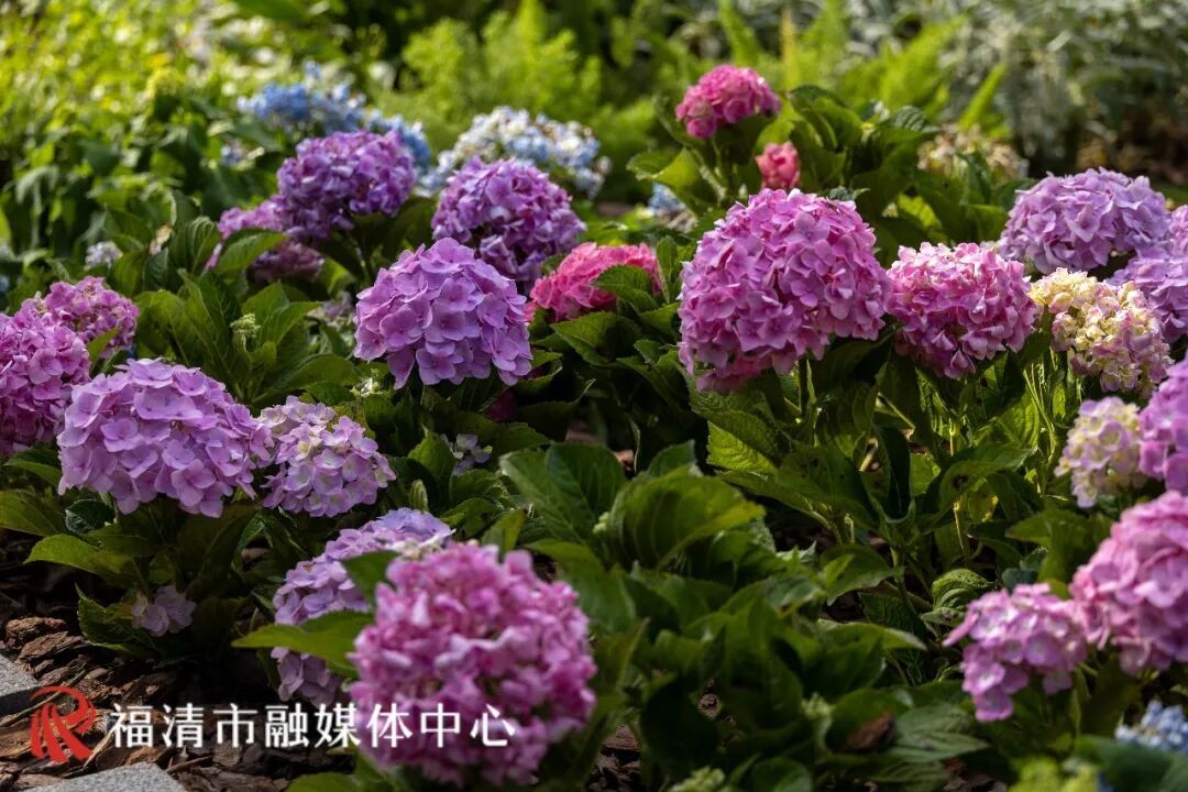 全面完工！福州“秘密花园”来了！