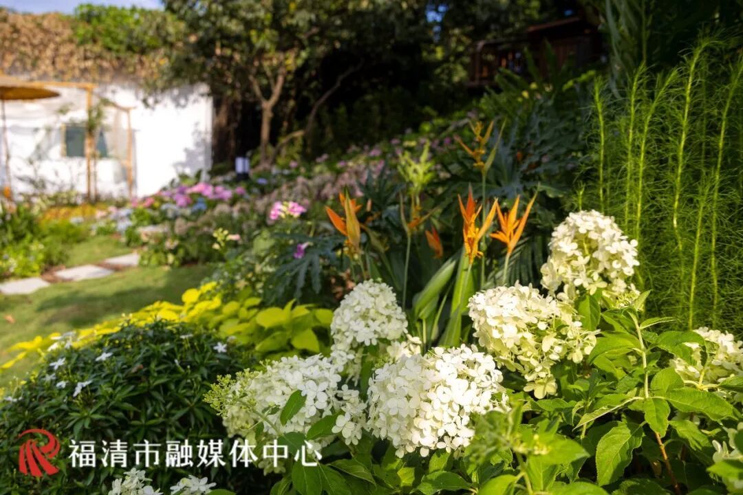 全面完工！福州“秘密花园”来了！