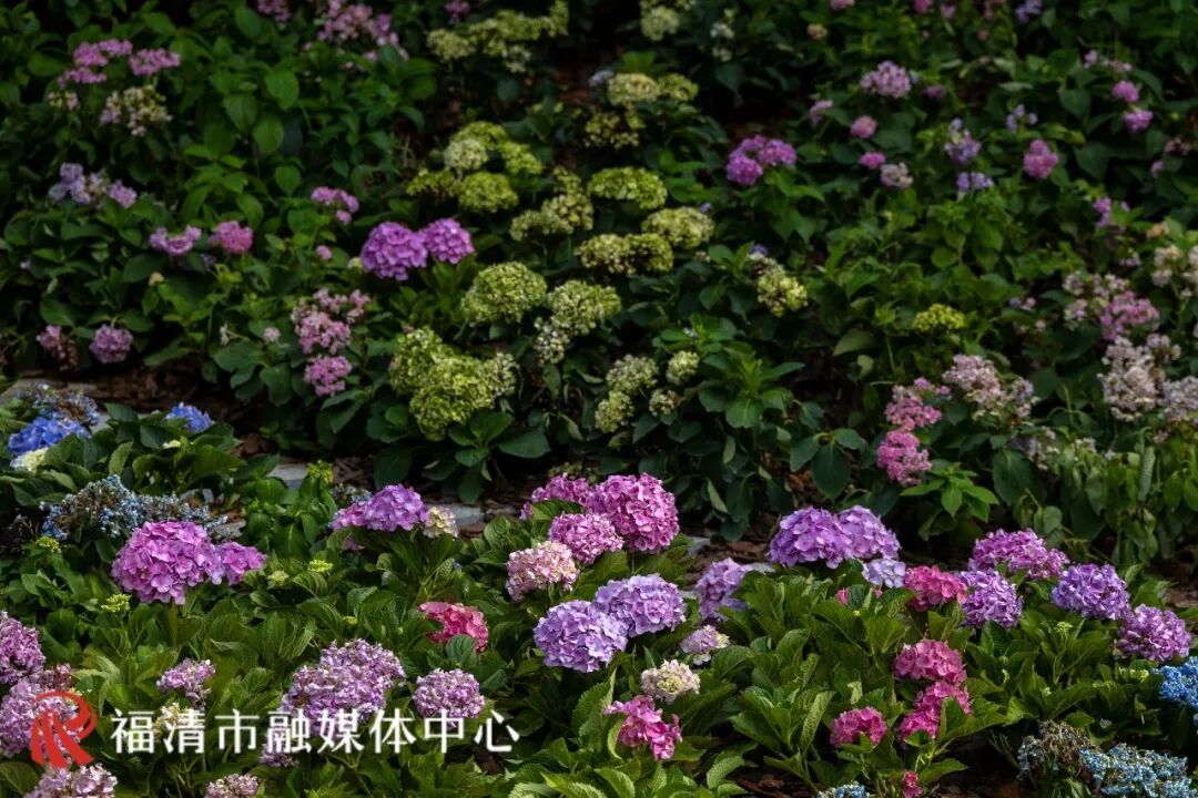 全面完工！福州“秘密花园”来了！