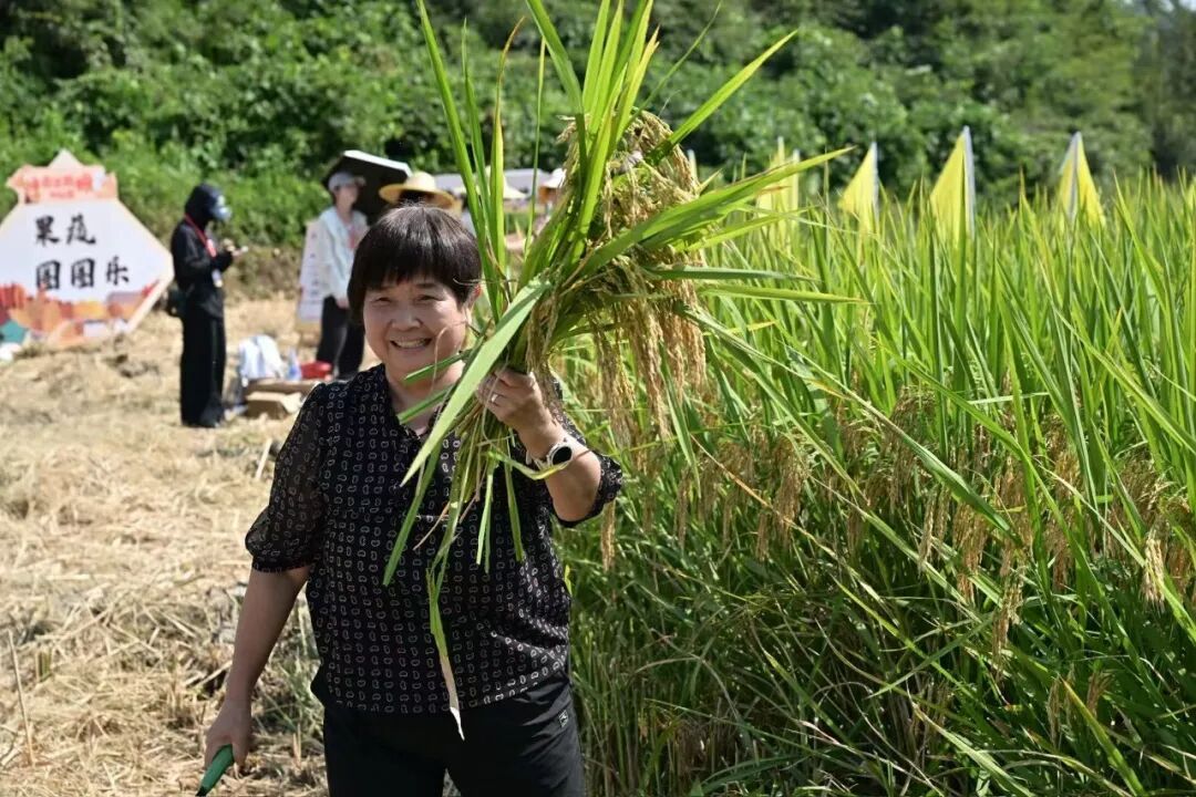 乡约北峰!晋安这场嘉年华,好热闹! 乡约北峰!晋安这场嘉年华,好热闹!