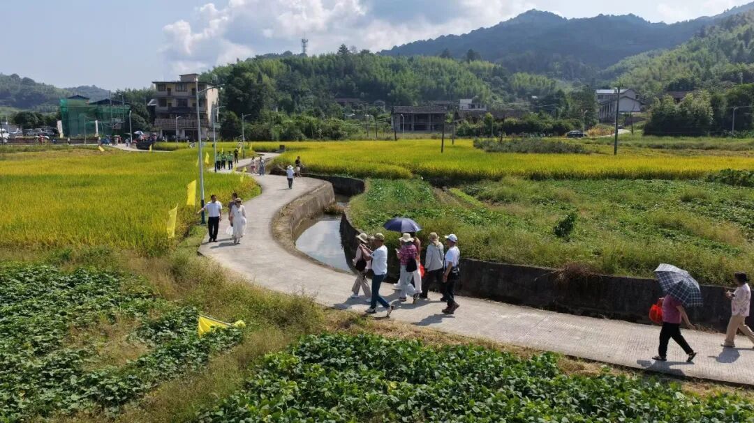 乡约北峰!晋安这场嘉年华,好热闹! 乡约北峰!晋安这场嘉年华,好热闹!