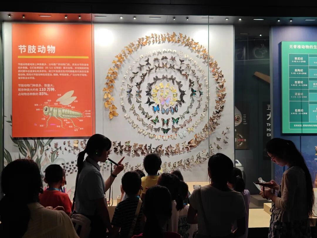 “五进润家风 科技伴成长”,晋安区这场家庭教育“五进”实践活动圆满落幕 “五进润家风 科技伴成长”,晋安区这场家庭教育“五进”实践活动圆满落幕