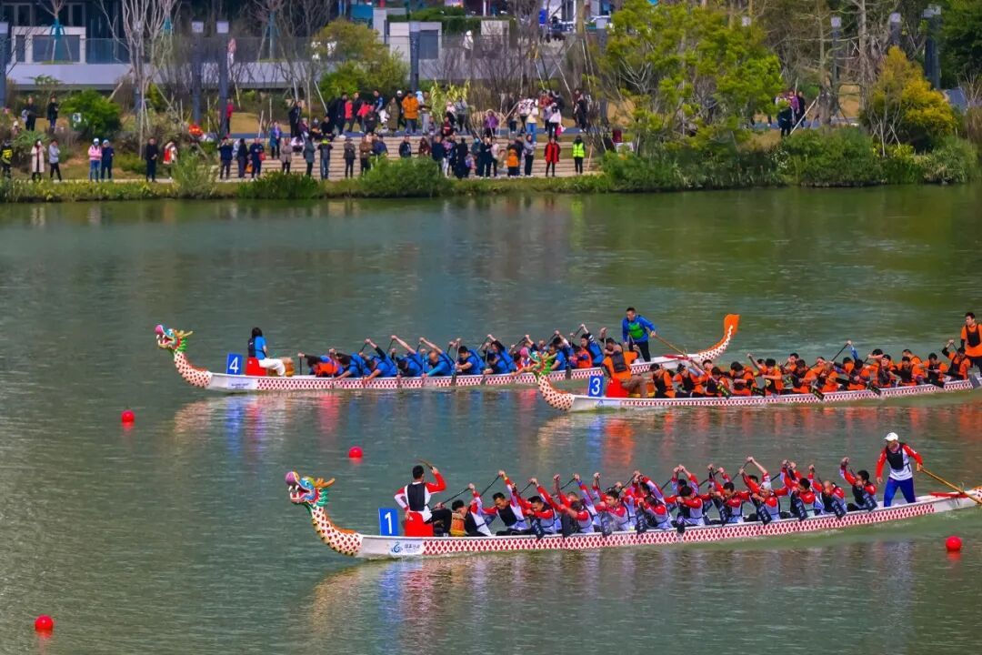 龙舟竞渡!10月1日,晋安湖公园见! 龙舟竞渡!10月1日,晋安湖公园见!